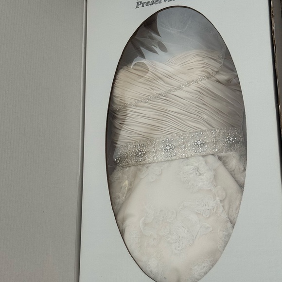 Preserved ivory wedding dress with beaded belt & vail - Picture 11 of 15